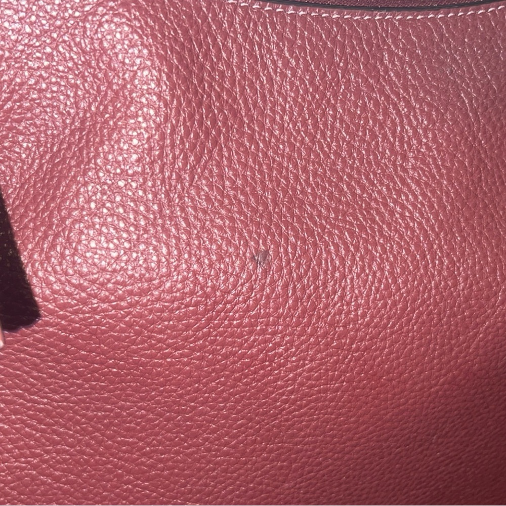Coach Jules Burgundy Snake Print Leather Hobo Bag - Picture 6 of 14